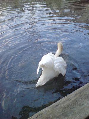 21000_julia's profile picture. 