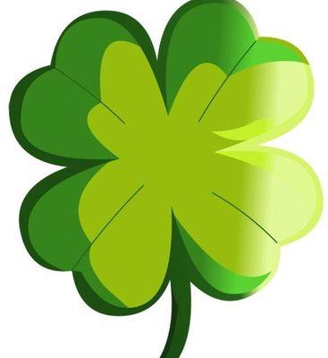 tombois29's profile picture. 