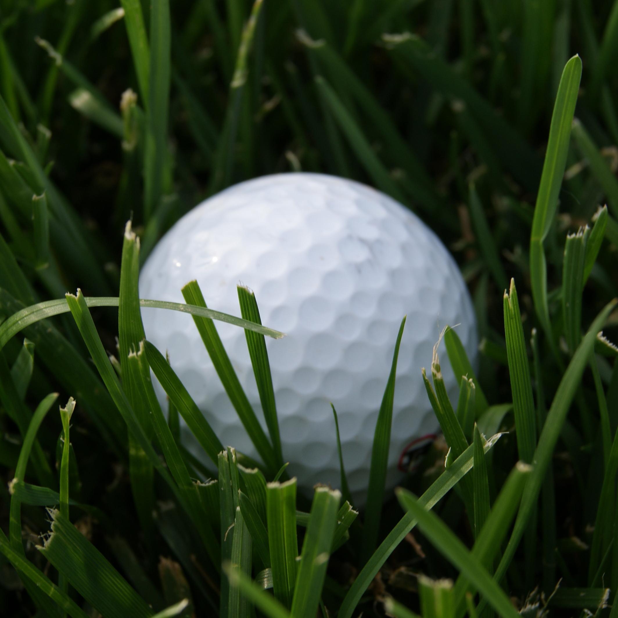 Events aimed at raising funds for locally based good causes.