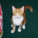 Katie Ann Guthrie - @KatieAnnGuthrie - Twitter