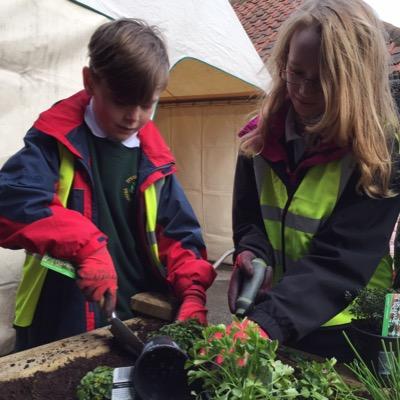 We have two gardening clubs at our school. Here are our tweets!