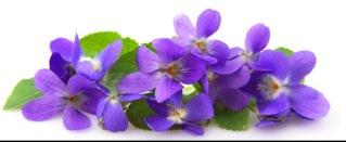 Cosa cucino stasera? Qualcosa di buono ma sano!!! http://t.co/iVAk2ZrIj2