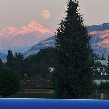 LargeHadron Collider Profile