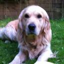 Ernie Reed - @ErnieWReed - Twitter