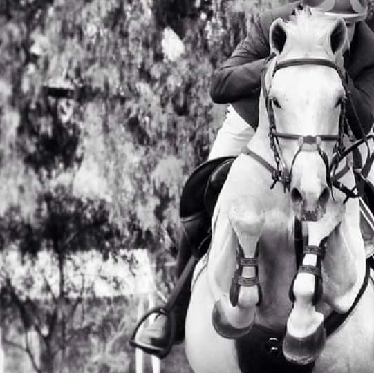 Bent_alOmda's profile picture. الله غايتنا :)