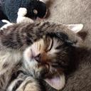 Amy Shipman - @AmyShipman3 - Twitter