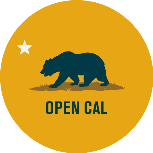 Californian volunteers working together – Code for America brigades