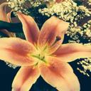 Lori Aubin - @locket101 - Twitter