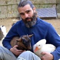 Coque Fernández (@coquesantuario) 's Twitter Profile