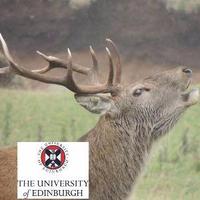 Rum Deer Research(@RumDeerResearch) 's Twitter Profile Photo