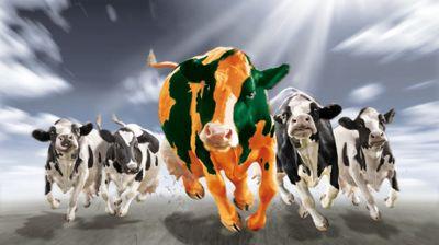 Bosmamt's profile picture. Dealer van GEA Farm Technologies WestfaliaSurge Melkmachines, voercomputers, kalverdrinkautomaten, koeltanks, automatisering, stalinrichting en mestscheiders