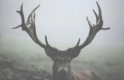 vida_vacaciones's profile picture. 