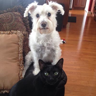 rrwright1974's profile picture. 