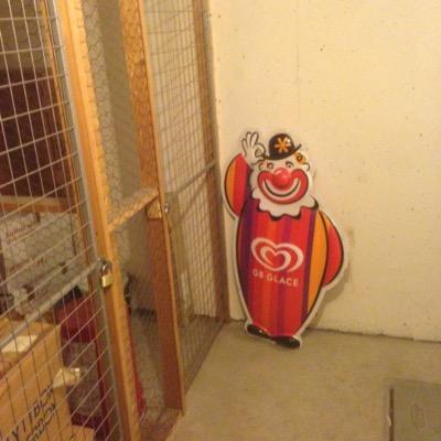 wiiren's profile picture. 