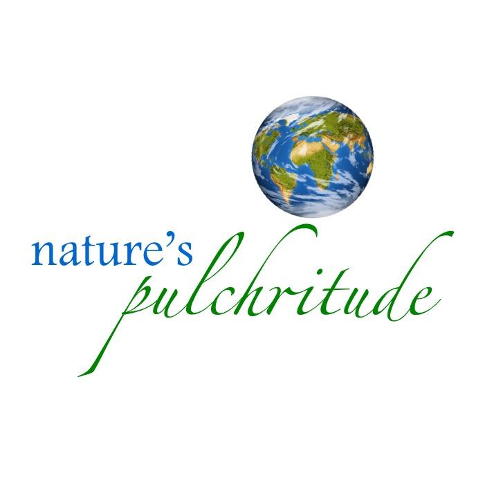 Beauty and Cosmetics enthusiast exploring Natural and Organic beauty products.