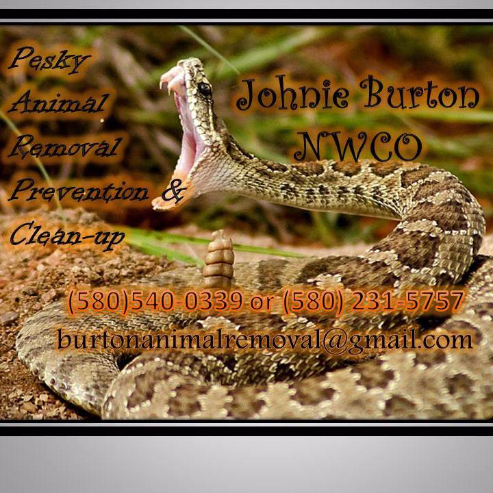 Pesky Critters ruining your day? Give us a call, they'll wish they had run away!