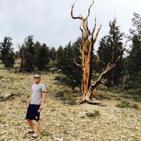 Greg Wnuk (@gregwn) 's Twitter Profile