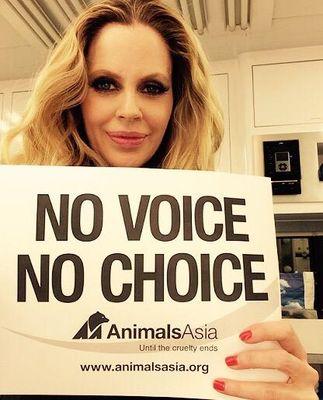 mamasbabyregal's profile picture. 