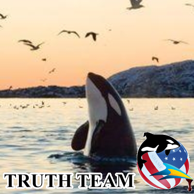 savecetac's profile picture. Working to free all marine animals in captivity. Activist, Voice for those who cant speak for themselves. changing the world, one animal at a time.