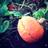 wavement_as's profile image