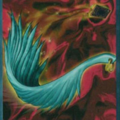 ほうき Seiryukoya1999 1 ドラゴン目覚めの旋律で手札1枚捨ててブルーアイズとsinブルーアイズ回収 2 始皇帝の陵墓発動ブルーアイズ召喚sinブルーアイズss 3 タキオンか光子竜皇経由してダークマター 4 ダークマターでエクリプス レドックス タイダル