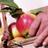 WineFoodFarm's profile image