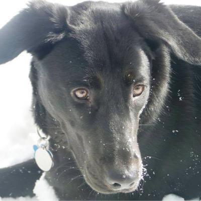 gcbnj's profile picture. 