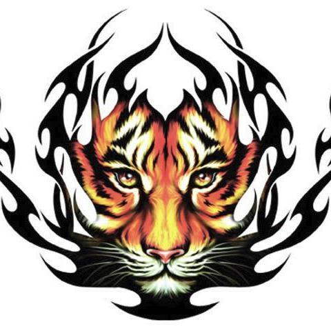 AnonGlobalNet's profile picture. 