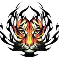 anonglobalnetwork (@anonglobalnet) 's Twitter Profile