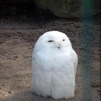 MAnthony3911's profile picture. 