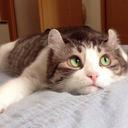 Sarah Kutter - @KutterSarah - Twitter