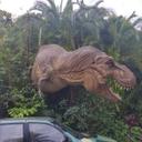 Tony Keen - @tonykeen38 - Twitter