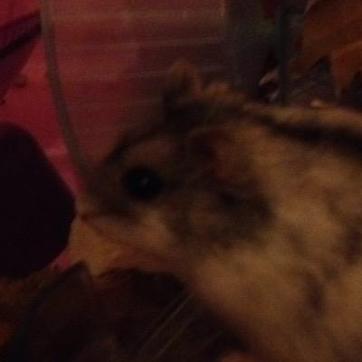 BethBethforshaw's profile picture. 