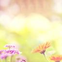 Abby Dion - @fed7593cb7ea48b - Twitter