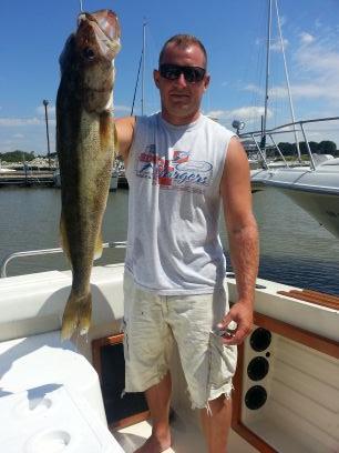 deanshelley45's profile picture. 