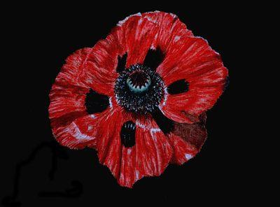 posi_poppy's profile picture. be the best person that you know