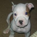 Joel Burt - @jburt541 - Twitter