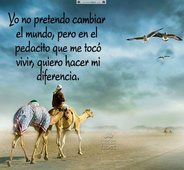 empigaso's profile picture. Abogada orgullosamente tachirense y de la vieja data