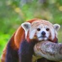 Lydia Roy - @lydiaroydamour - Twitter