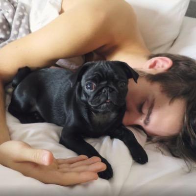 ❁ Alfie follows ✧ Colleen follows ✧ Adelaine 10x ❁ Youtubers Brighton my Deyes ❁ Nala and Zoe ❁ Saw 4/5 live 03/21/15
