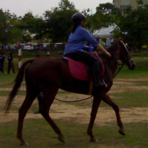 Rider/obsessed with any kind of marine vessel/dark and twisted mind/no longer a practising lawyer/the future Lady CEO/ trying hard to understand twitter 😂