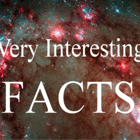 VIfacts2015's profile picture. 