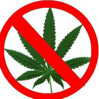 marywhowanna's profile picture. 