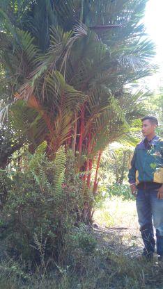 9dragon5's profile picture. 