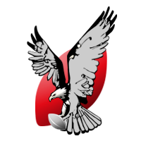 RugbyPotsdam's profile picture. 