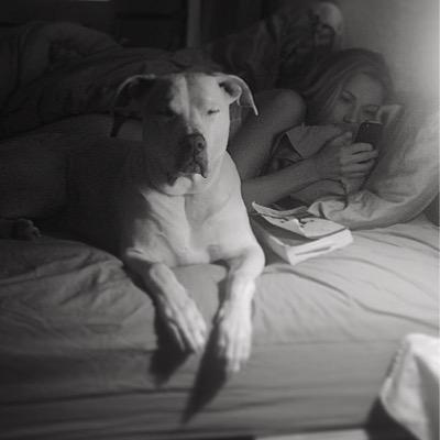 acaversano's profile picture. 