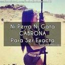 Hilda Martha Cepeda  - @negrita78c - Twitter