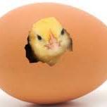 marniemarieb's profile picture. 