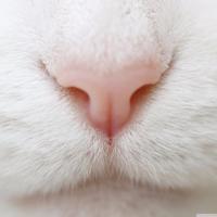 David Sterk (@2sterk4you) 's Twitter Profile