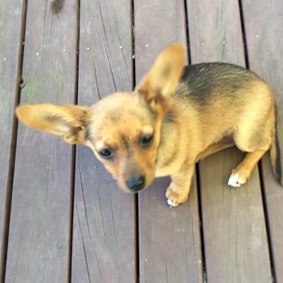 rlndj6's profile picture. Love life, friends, party's, and conversation